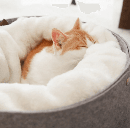 The Whispering Cloud Serenity Bed.